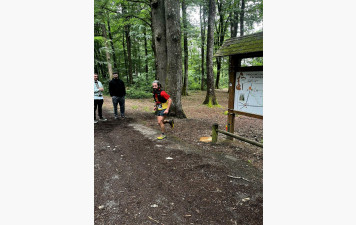 Trail d'Ecouves : 100 km